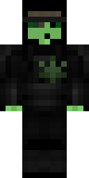 2D skin preview