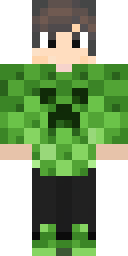 2D skin preview