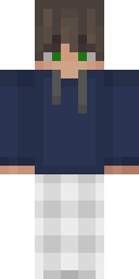 2D skin preview
