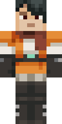 2D skin preview