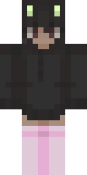2D skin preview