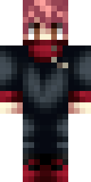 2D skin preview