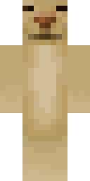 2D skin preview