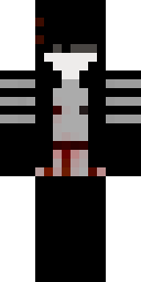 2D skin preview