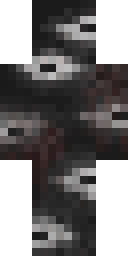 2D skin preview