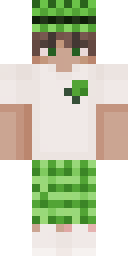 Skin preview for _Required