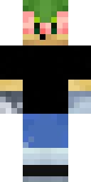 2D skin preview