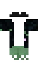 2D skin preview