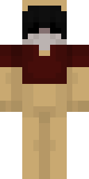 2D skin preview