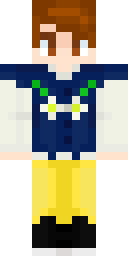 2D skin preview