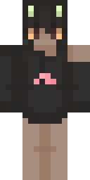 2D skin preview