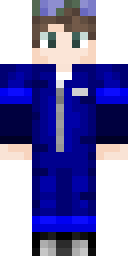 2D skin preview