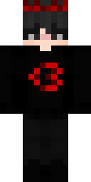 2D skin preview