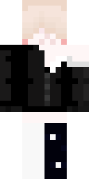 2D skin preview