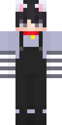 2D skin preview