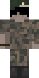 2D skin preview