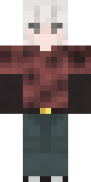 2D skin preview
