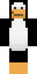 Skin preview for PARAN0IDCLIENT