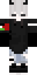 2D skin preview