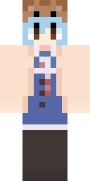 2D skin preview
