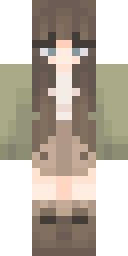 2D skin preview