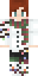 Skin preview for logicnet