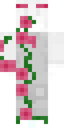 Skin preview for Krynnion