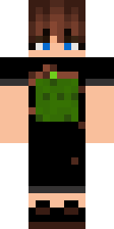 2D skin preview
