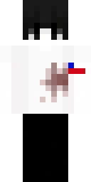 2D skin preview