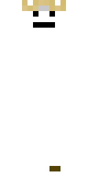 2D skin preview