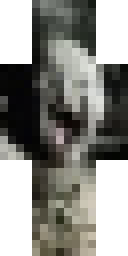 2D skin preview