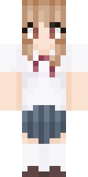 2D skin preview