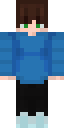 2D skin preview