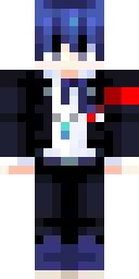 Skin preview for Sejr1k