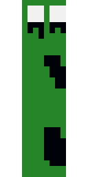 2D skin preview