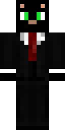 Skin preview for Mr_errorFiles