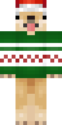 2D skin preview