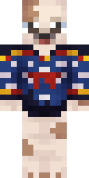 Skin preview for honzap08