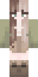 2D skin preview