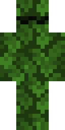 2D skin preview