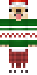 2D skin preview