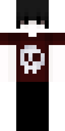 2D skin preview