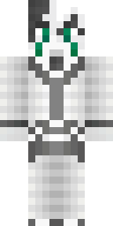2D skin preview