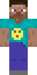 Skin preview for logicnet