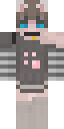 2D skin preview