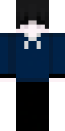2D skin preview