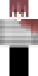 2D skin preview