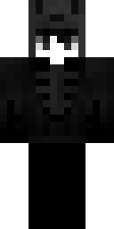 2D skin preview