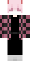 2D skin preview