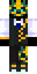 2D skin preview